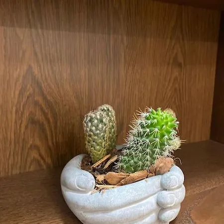 Casa Leopoldo アパート *