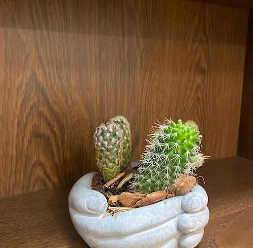 Casa Leopoldo Apartamento *